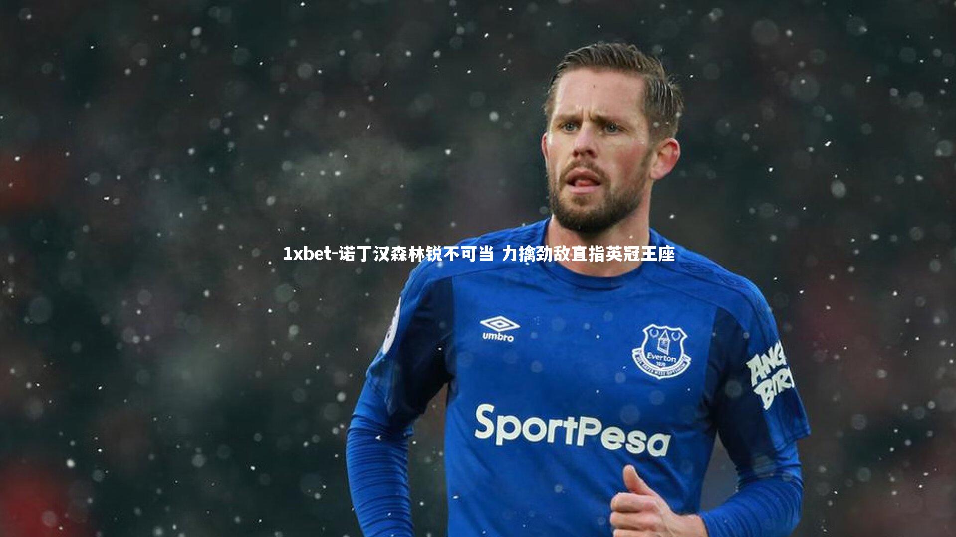 诺丁汉森林锐不可当 力擒劲敌直指英冠王座