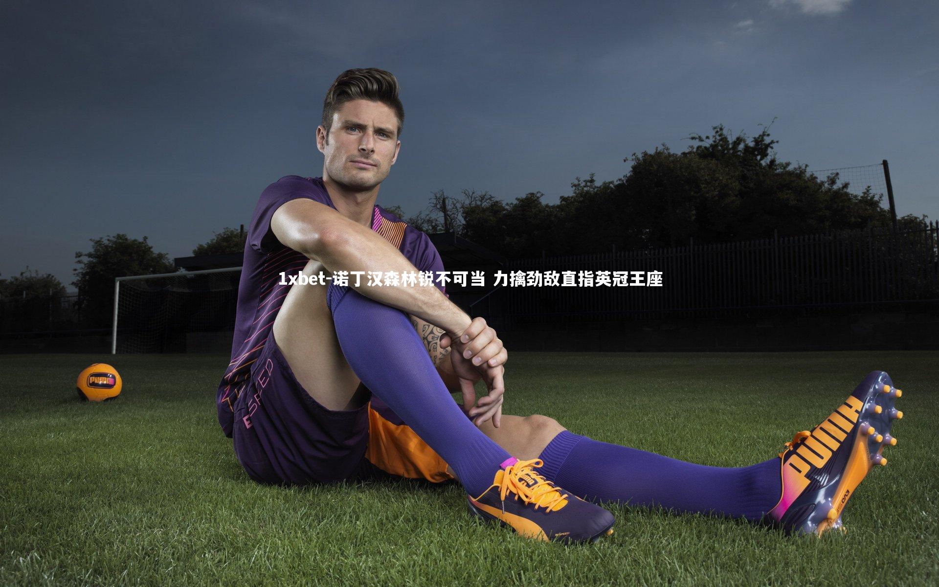 诺丁汉森林锐不可当 力擒劲敌直指英冠王座